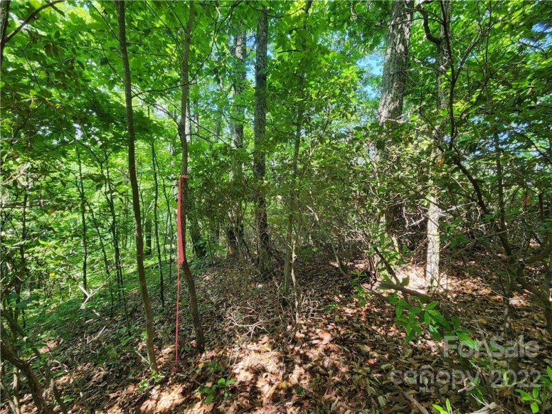 Property image 5 at 00 Promiseland Road, Canton, NC 28716