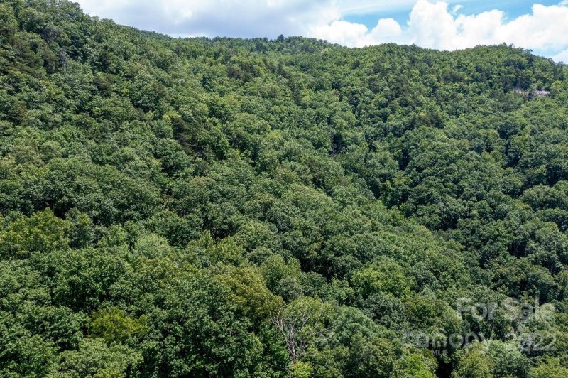 Property image 2 at Lot 229 N Poplar Court, Lake Lure, NC 28746