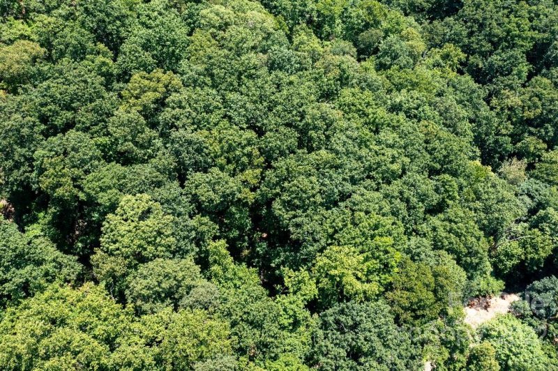 Property image 3 at Lot 229 N Poplar Court, Lake Lure, NC 28746