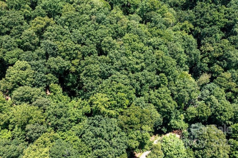 Property image 4 at Lot 229 N Poplar Court, Lake Lure, NC 28746