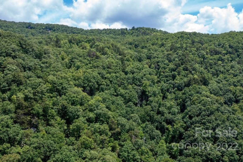 Property image 5 at Lot 229 N Poplar Court, Lake Lure, NC 28746
