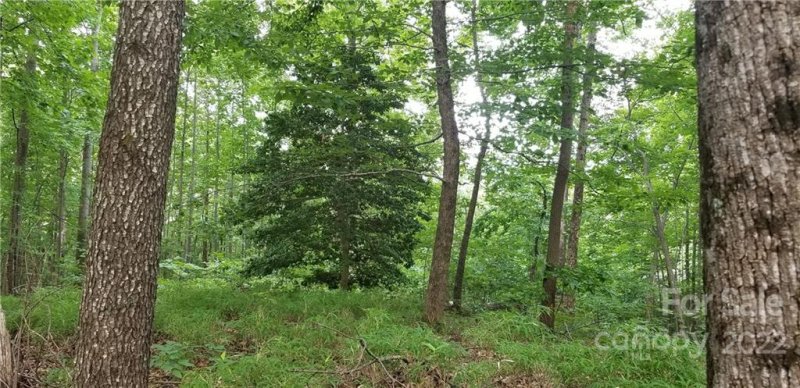 Property image 3 at 89 Amelia Drive, Bostic, NC 28018