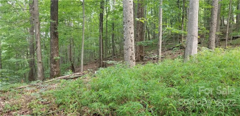 Property image 5 at 89 Amelia Drive, Bostic, NC 28018