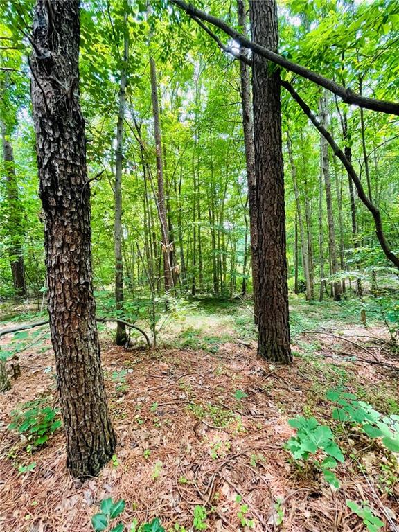 Property image 3 at 00 Twin Creek Drive, Troutman, NC 28166