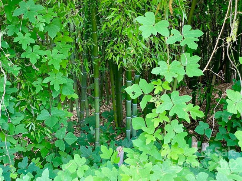 Property image 5 at 00 Twin Creek Drive, Troutman, NC 28166