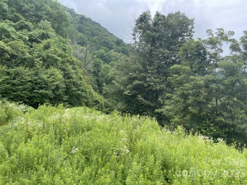 Property image 4 at 144 148 Granite Cliffs Court, Waynesville, NC 28785