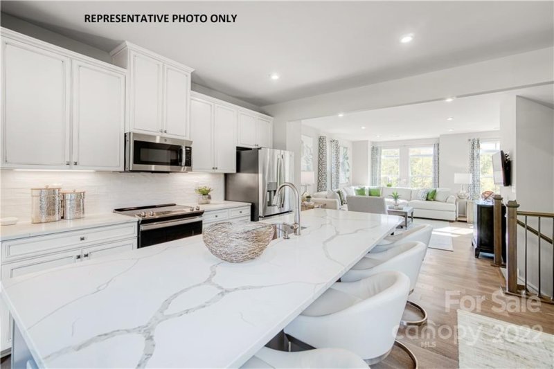 Property image 3 at 230 Russell Branch Lane, Charlotte, NC 28211