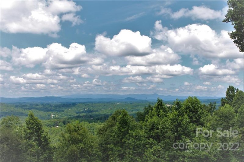 Property image 5 at 59 Fox Chase Court, Hendersonville, NC 28792