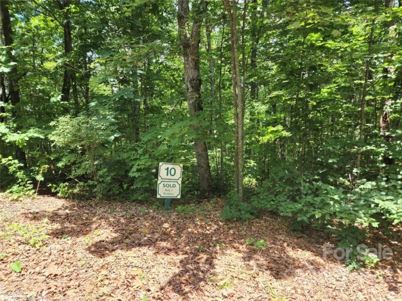 Property image 4 at 40 Black Bear Ridge Trail, Zirconia, NC 28790