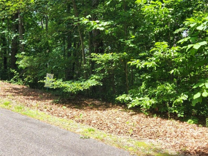 Property image 5 at 40 Black Bear Ridge Trail, Zirconia, NC 28790