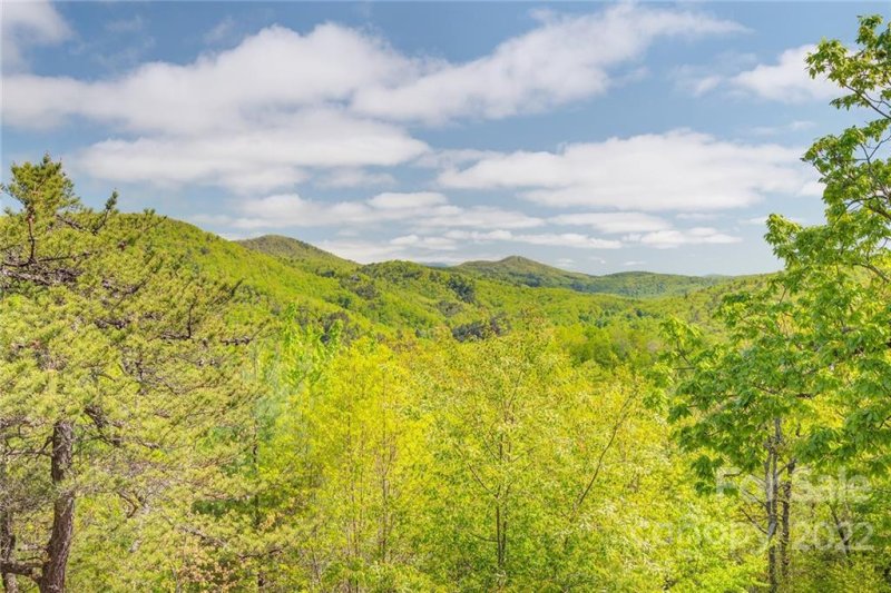 Property image 3 at 94 Davey Crockett Road, Fairview, NC 28730