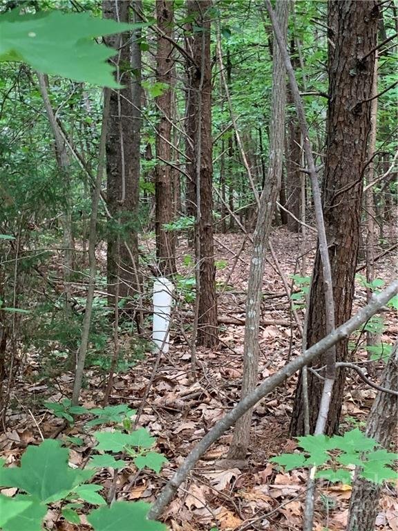 Property image 3 at 000 Deer Run, Lenoir, NC 28645