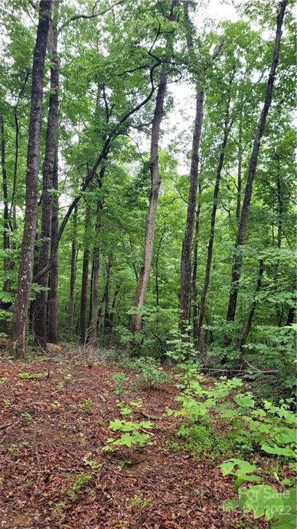 25 Crooked Creek Estates Drive