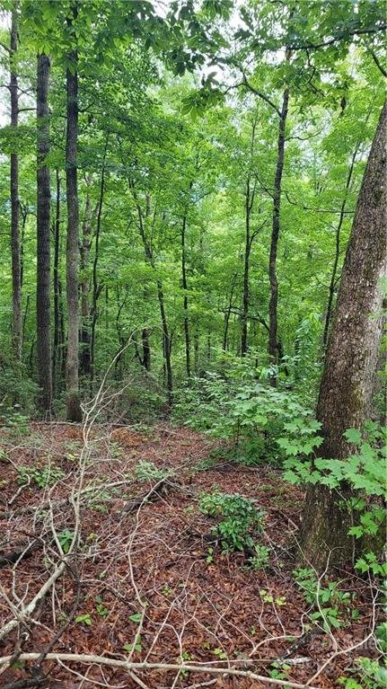 Property image 2 at 25 Crooked Creek Estates Drive, Old Fort, NC 28762