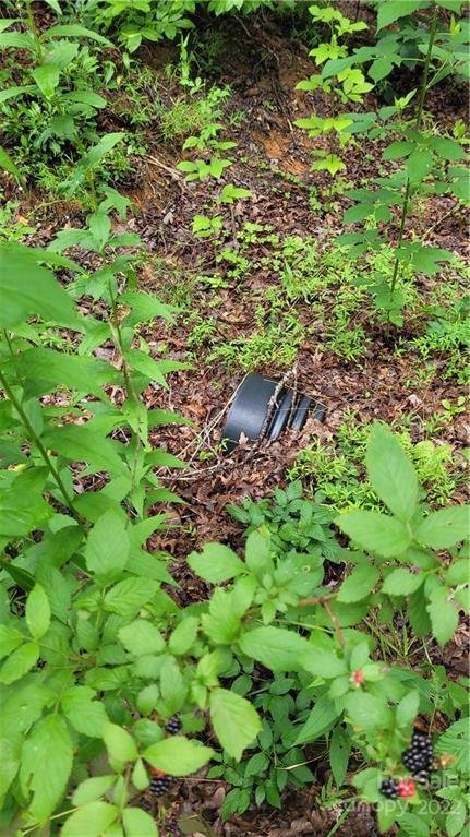 Property image 3 at 25 Crooked Creek Estates Drive, Old Fort, NC 28762