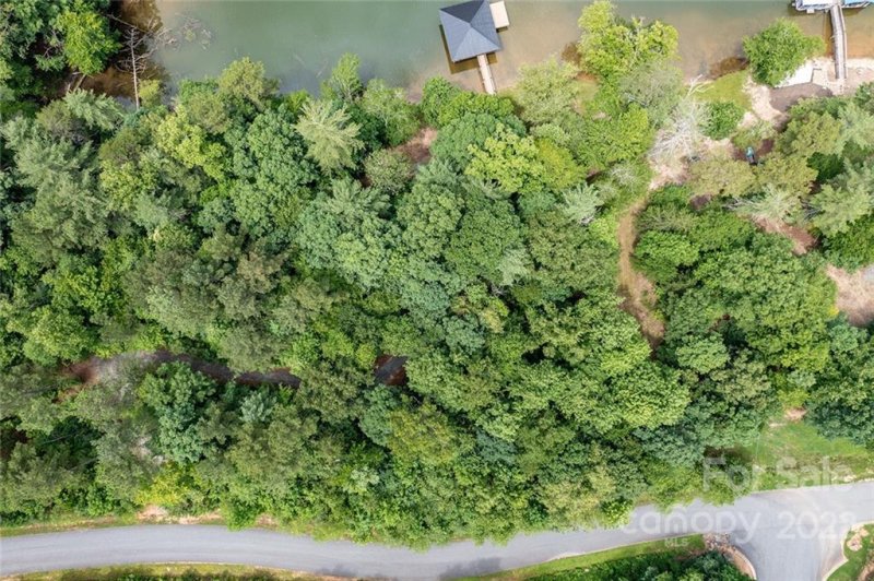 Property image 3 at 1096 Lake Vista Drive, Connelly Springs, NC 28612