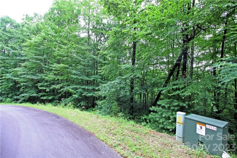 Property image 2 at Lot 80 Peppervine Circle, Brevard, NC 28712