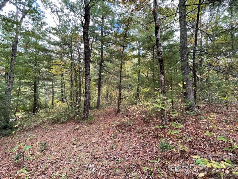 Property image 4 at 0000 Camp Cove Road, Zirconia, NC 28790