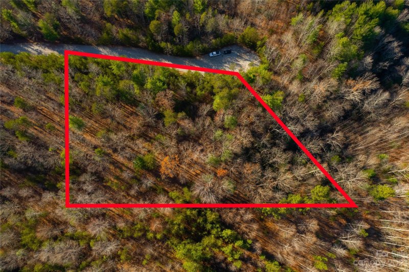 Property image 2 at 102 Boysenberry Drive, Nebo, NC 28761