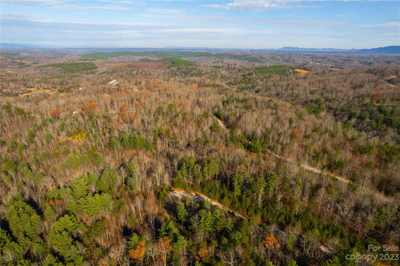 Property image 4 at 102 Boysenberry Drive, Nebo, NC 28761