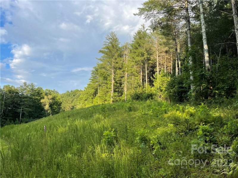 Property image 3 at 3252 Peninsula Pointe Drive, Valdese, NC 28690