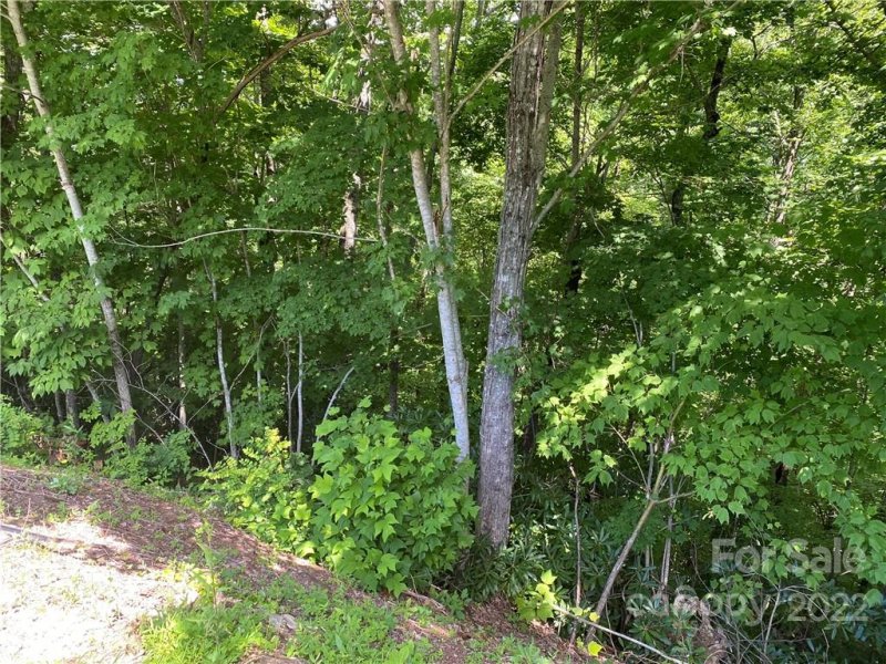 Property image 3 at Lot 7 Treehouse Road, Whittier, NC 28789