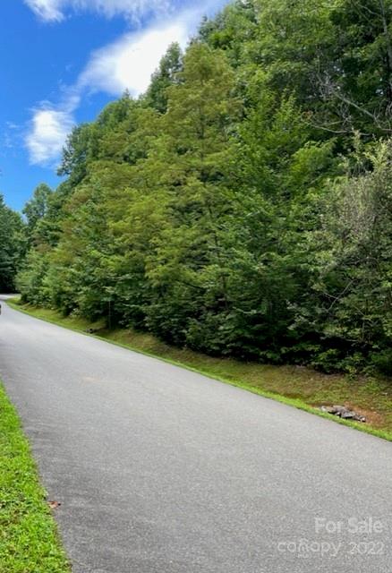 Property image 5 at 657 Feather Falls Trail, Black Mountain, NC 28711