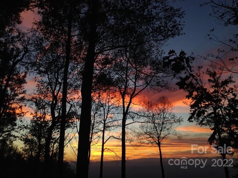 Property image 3 at 152 Spruce Hill Drive, Hendersonville, NC 28792