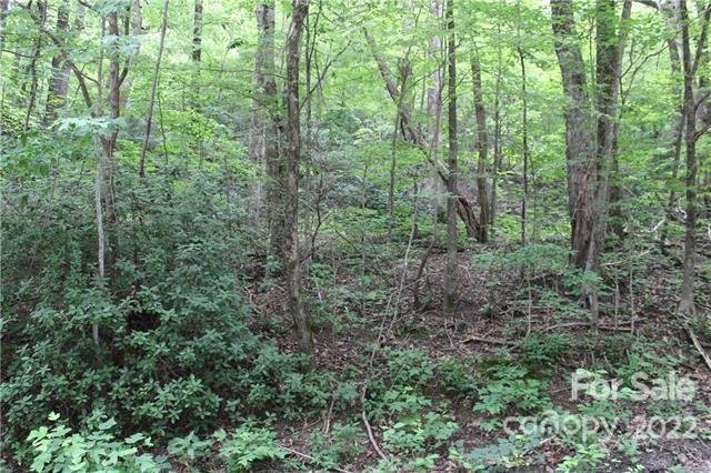 Property image 3 at 00 Melrose Mountain Road, Tryon, NC 28782
