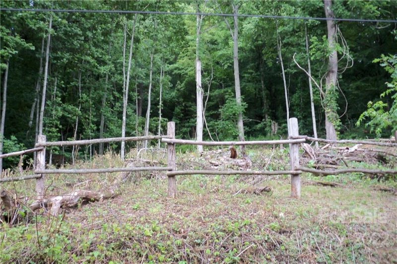 Property image 5 at 551 Tree Top Lane, Waynesville, NC 28785