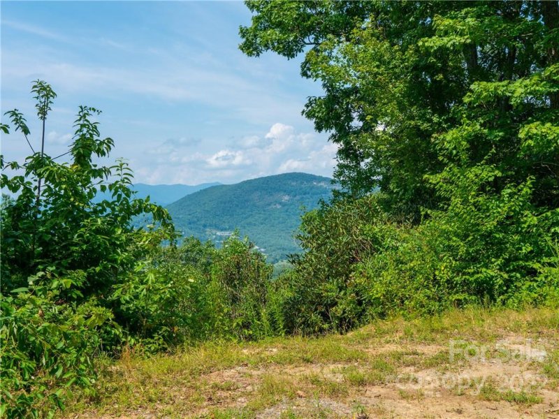 Property image 2 at 00 Grandiflora Path, Asheville, NC 28803