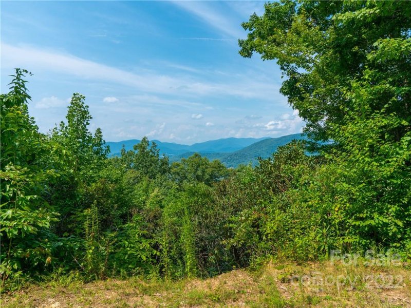 Property image 3 at 00 Grandiflora Path, Asheville, NC 28803