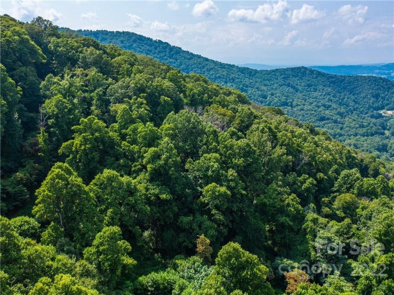 Property image 4 at 00 Grandiflora Path, Asheville, NC 28803