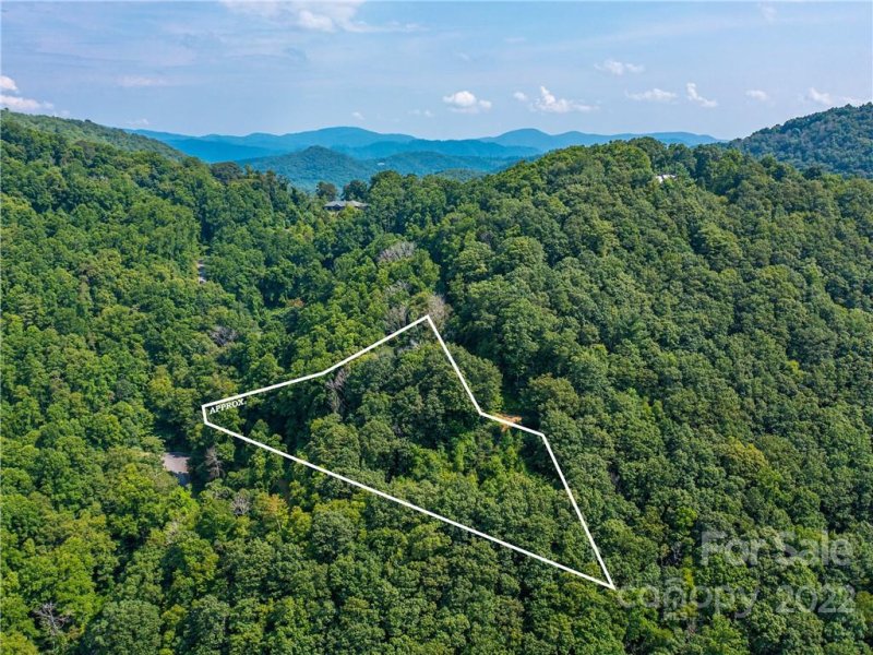 Property image 5 at 00 Grandiflora Path, Asheville, NC 28803