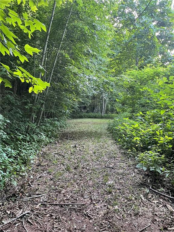 Property image 2 at Lt 56 Pilot Knob Road, Glenville, NC 28736