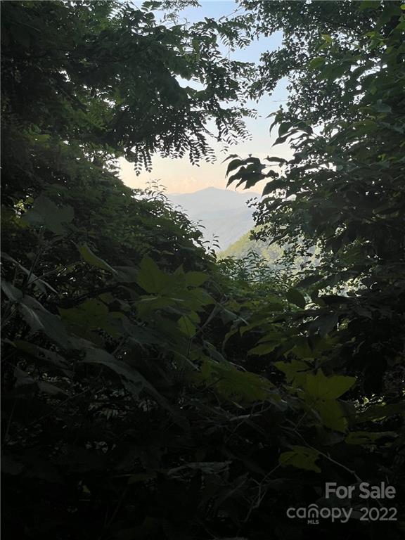 Property image 5 at Lt 56 Pilot Knob Road, Glenville, NC 28736