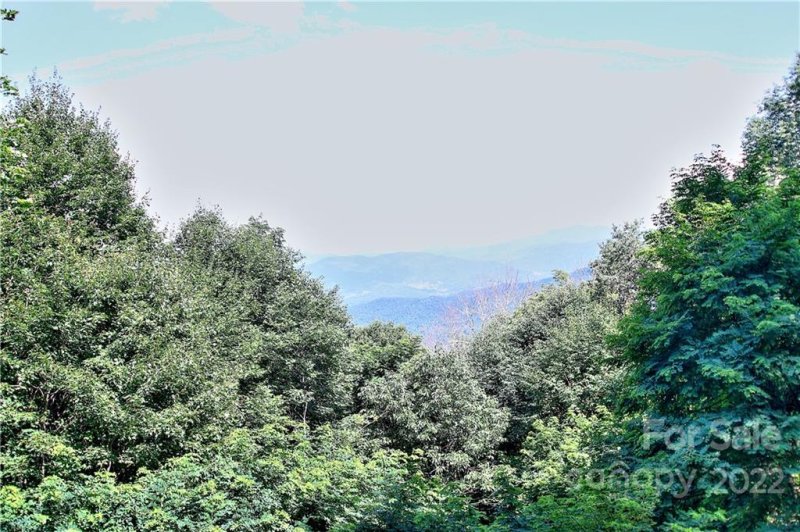 Property image 3 at 101 Tarheel Road, Maggie Valley, NC 28751