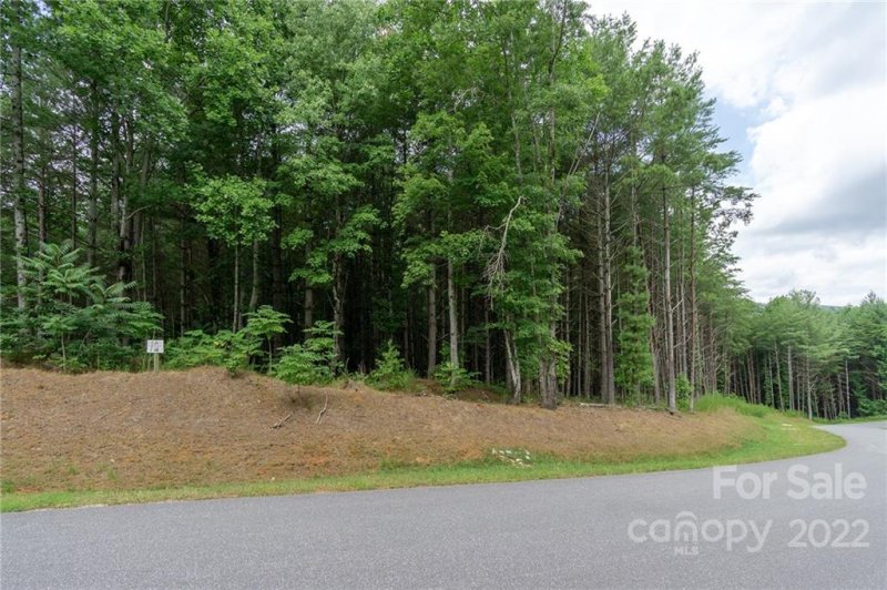 Property image 3 at 2264 Ivy Rays Way, Nebo, NC 28761