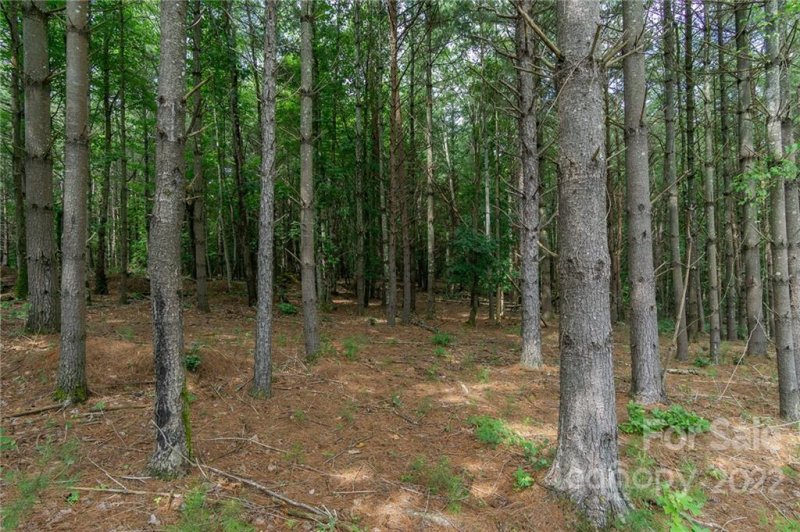 Property image 4 at 2264 Ivy Rays Way, Nebo, NC 28761