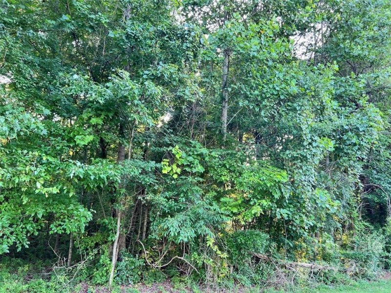 Property image 3 at 0 Timberlane Trail, Salisbury, NC 28147