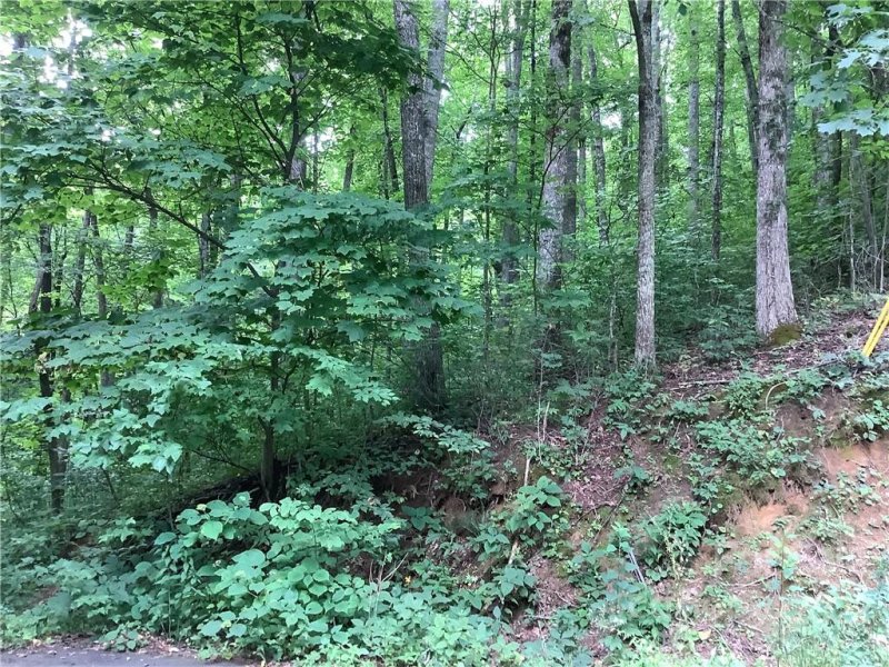 Property image 2 at 99999 Carriage Drive, Fairview, NC 28730