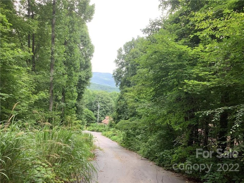 Property image 3 at 99999 Carriage Drive, Fairview, NC 28730