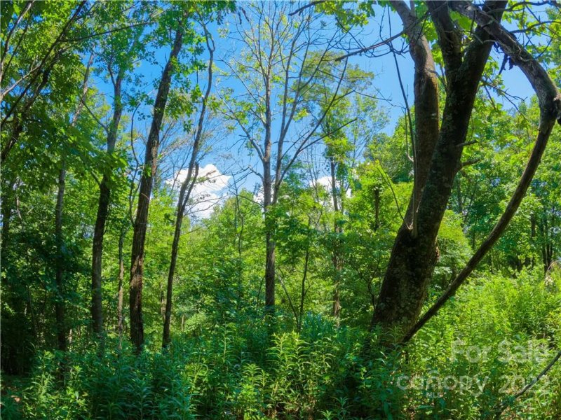 Property image 3 at 0 Apple Lane, Spruce Pine, NC 28777