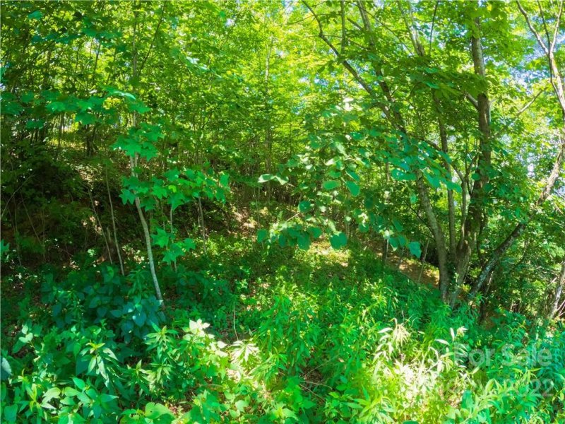 Property image 4 at 0 Apple Lane, Spruce Pine, NC 28777