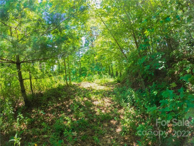 Property image 5 at 0 Apple Lane, Spruce Pine, NC 28777