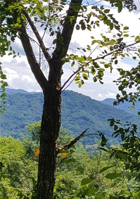 Property image 3 at 313 Jubilee Way, Waynesville, NC 28785