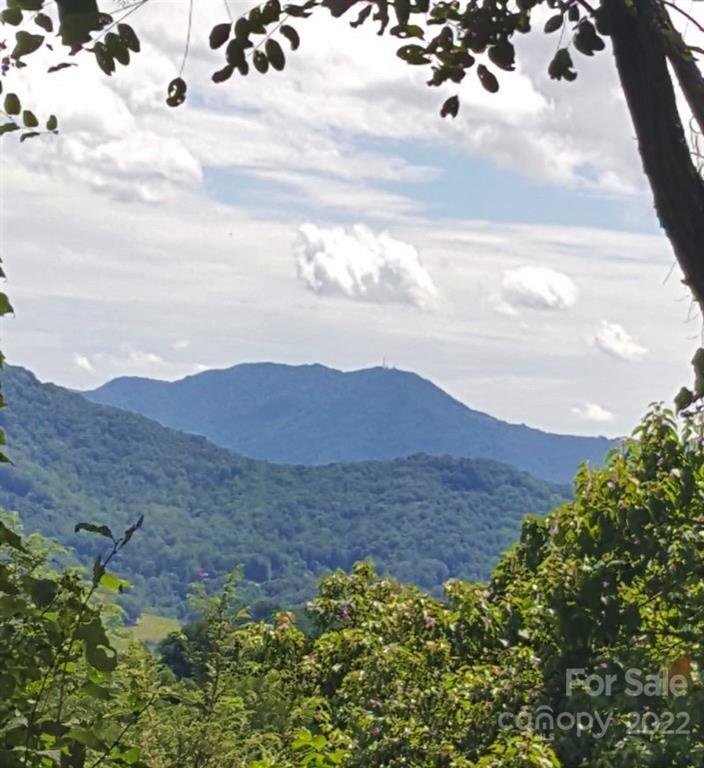 Property image 4 at 313 Jubilee Way, Waynesville, NC 28785