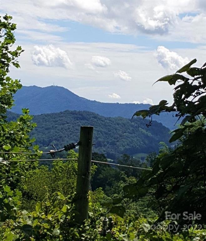 Property image 5 at 313 Jubilee Way, Waynesville, NC 28785