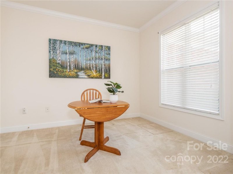 Property image 3 at 13418 Mint Lake Drive, Matthews, NC 28105