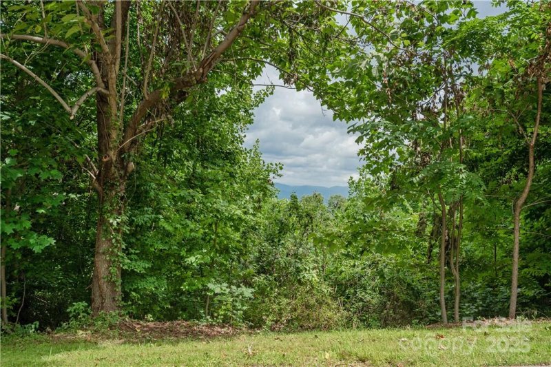 Property image 5 of 103 Berry Creek Drive in Kenmure, Flat Rock, NC 28731